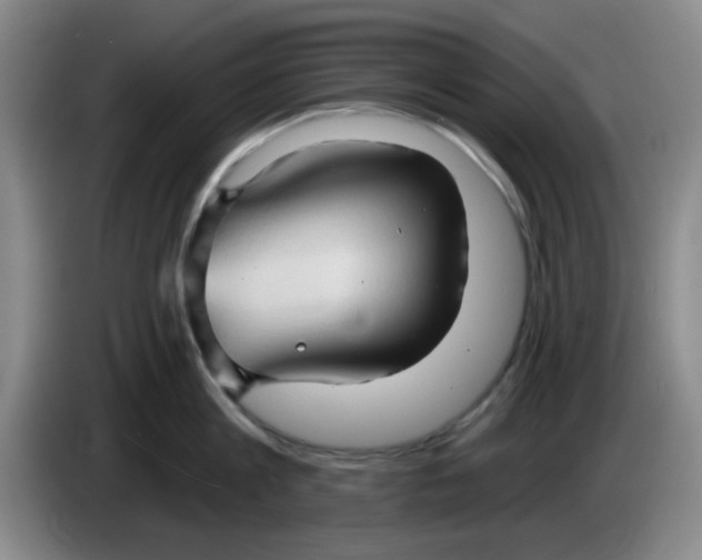 X0000083970813200703091801