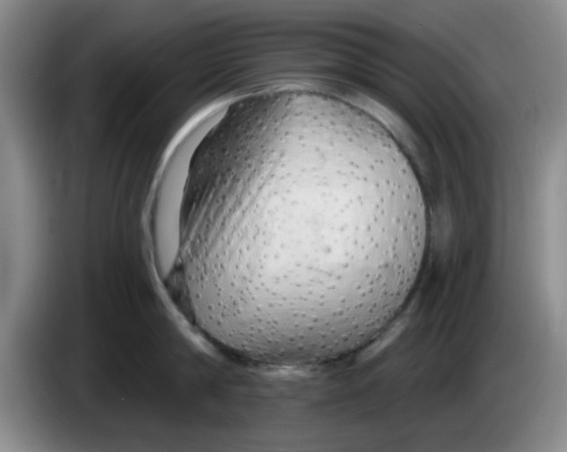 X0000083970814200703091801
