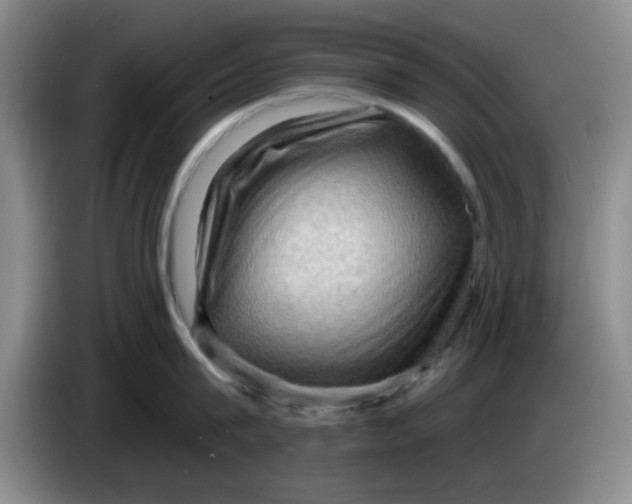 X0000083970815200703091801
