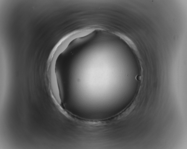 X0000083970816200703091801
