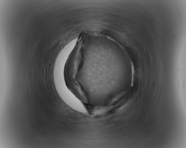 X0000083970818200703091800