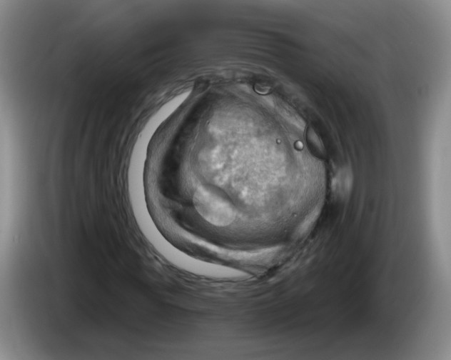 X0000083970819200703091800