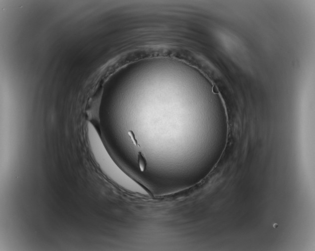 X0000083970821200703091800