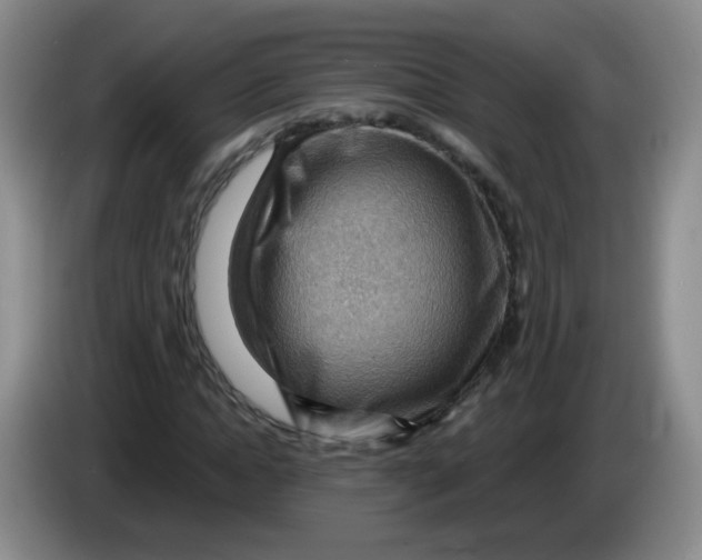 X0000083970822200703091800