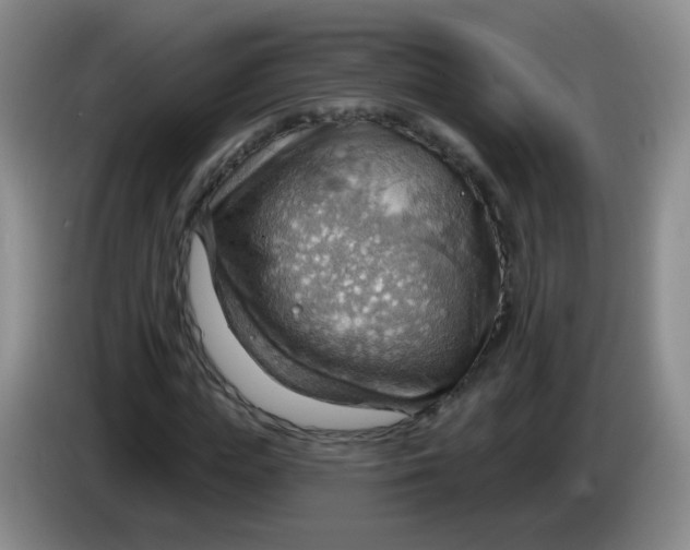 X0000083970823200703091800
