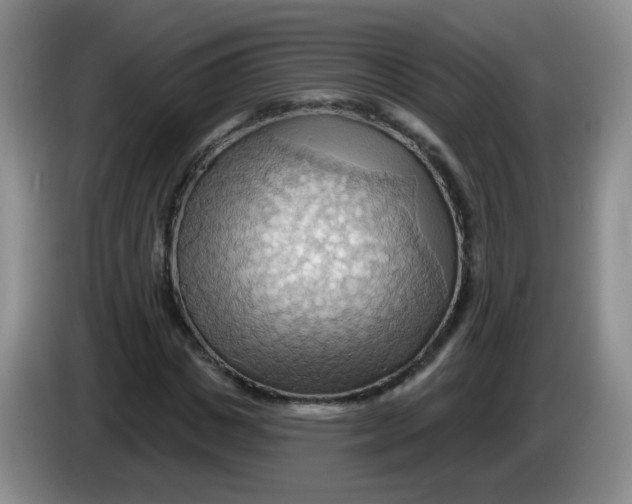 X0000083970825200703091800