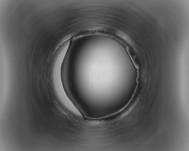 X0000083970826200703091800