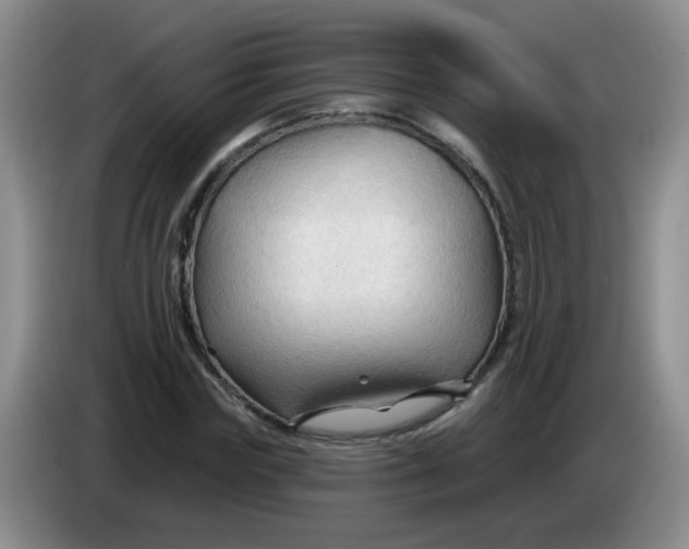 X0000083970827200703091800