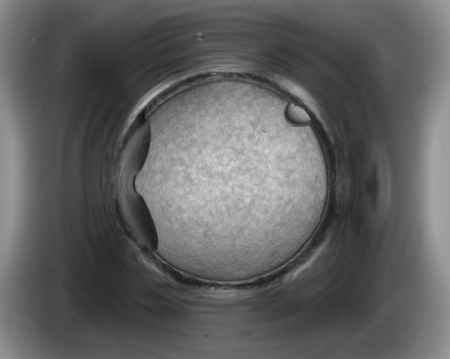 X0000083970829200703091800