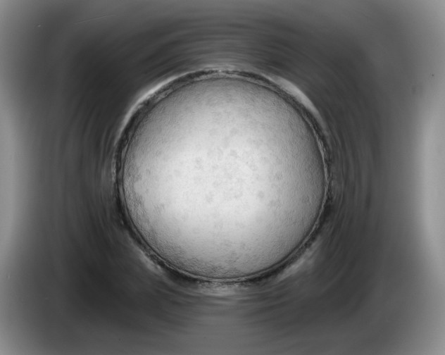 X0000083970831200703091800