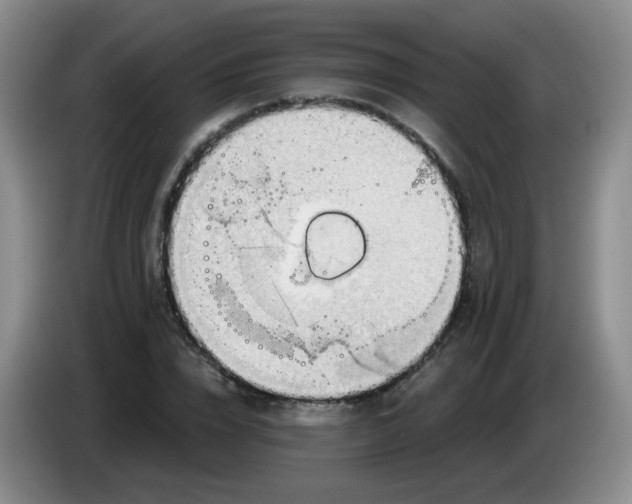 X0000083970832200703091800
