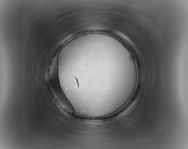 X0000083970833200703091800