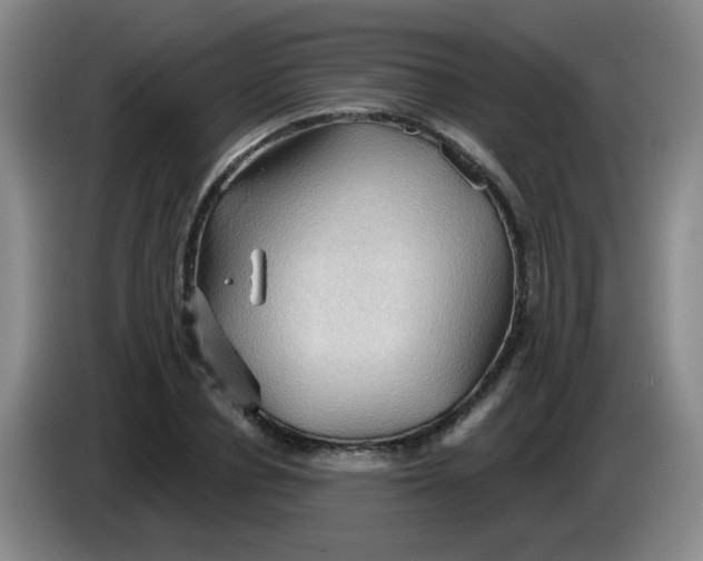 X0000083970834200703091800
