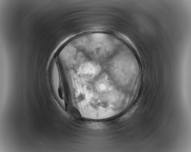 X0000083970835200703091800