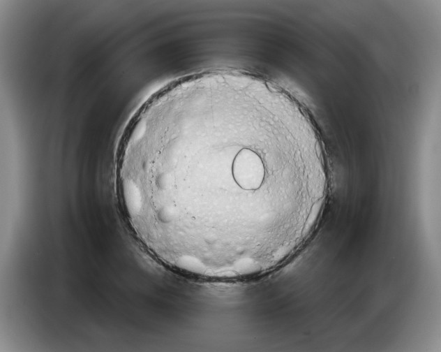 X0000083970836200703091800