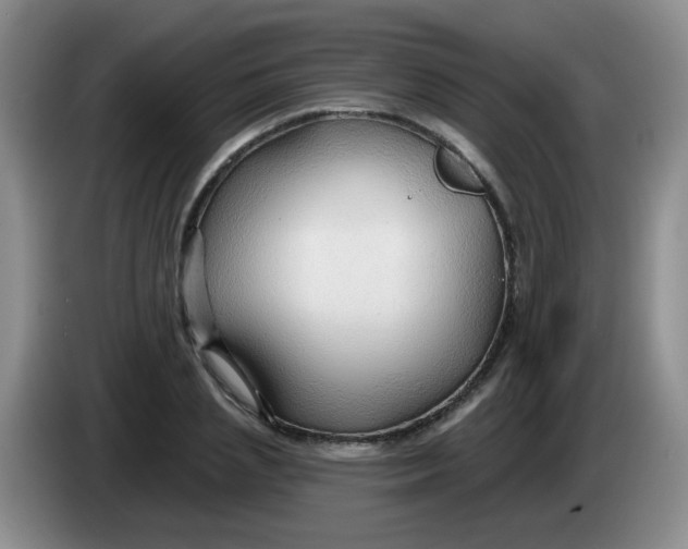 X0000083970837200703091800
