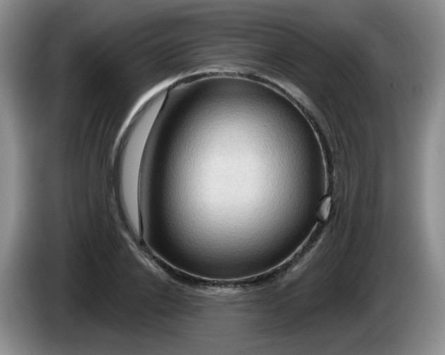X0000083970838200703091800