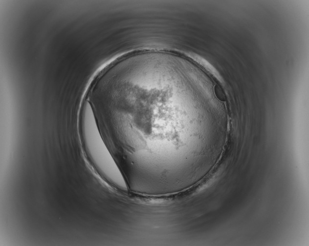 X0000083970839200703091801