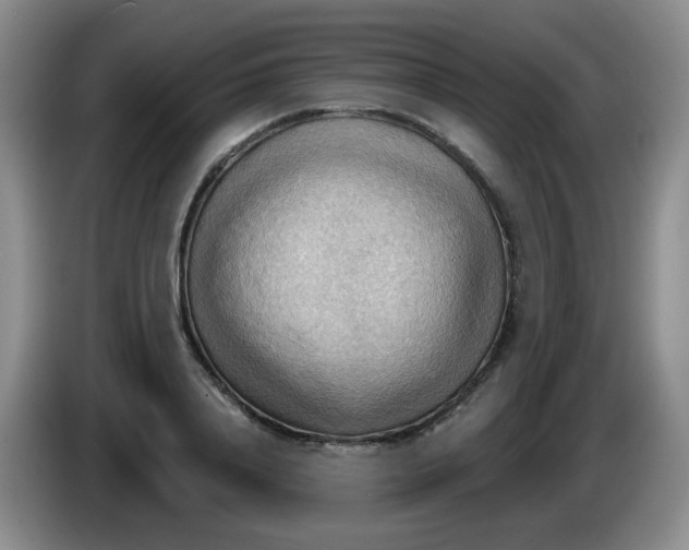 X0000083970840200703091801