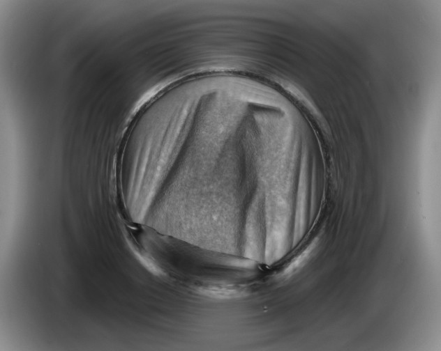 X0000083970842200703091801