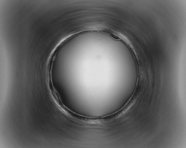 X0000083970843200703091801