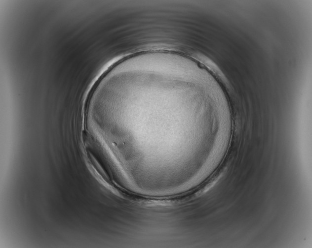 X0000083970844200703091801