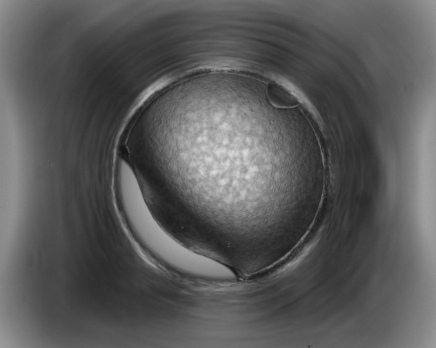 X0000083970845200703091801
