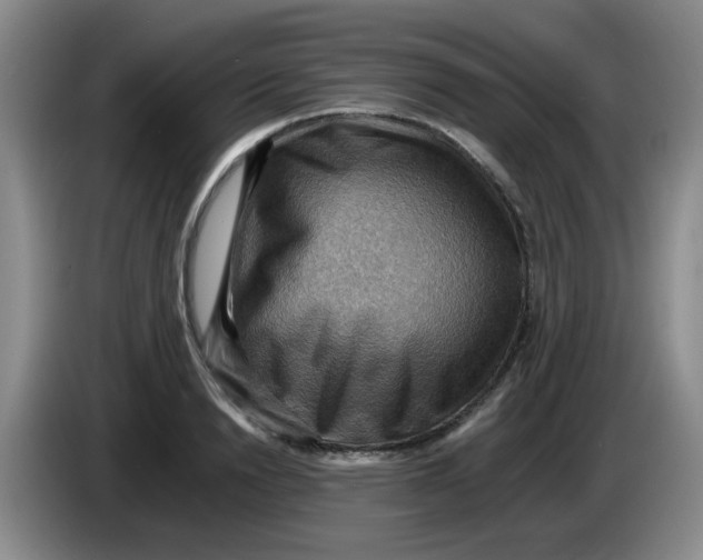 X0000083970846200703091801
