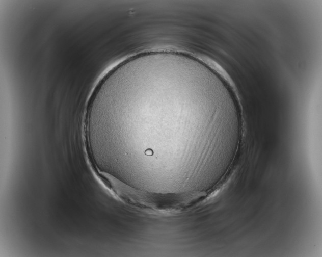 X0000083970847200703091801