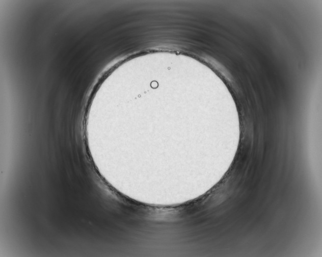 X0000083970848200703091801