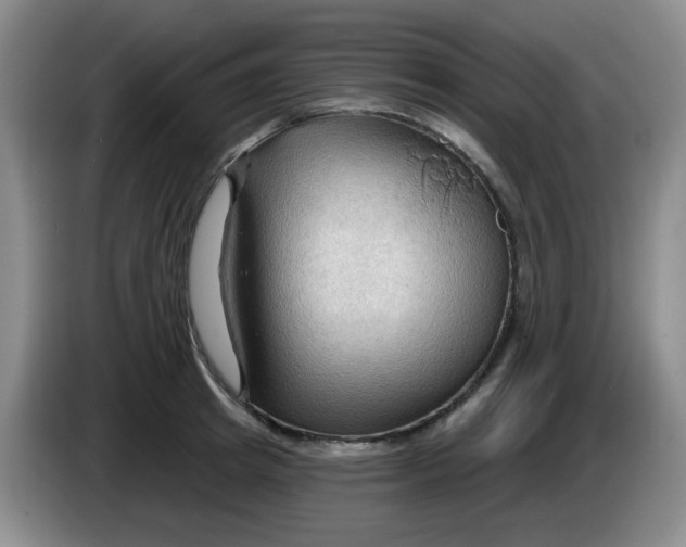 X0000083970849200703091801