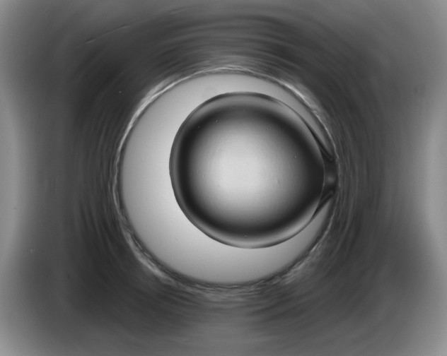 X0000083970850200703091801
