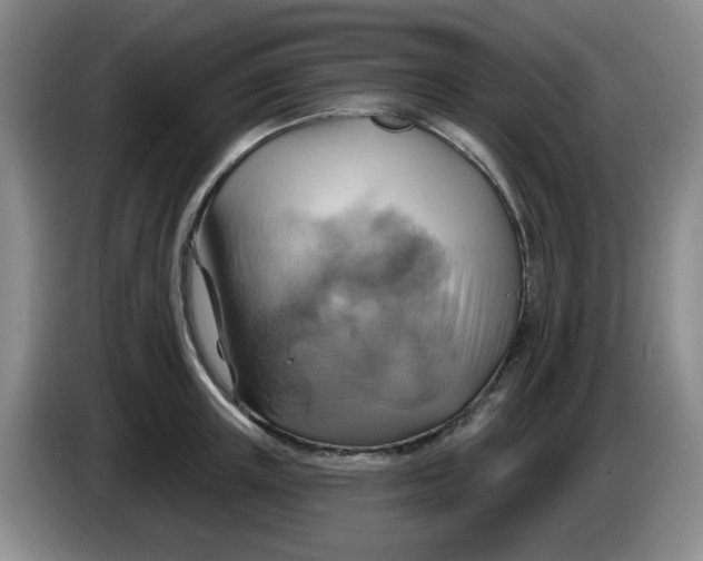 X0000083970851200703091801