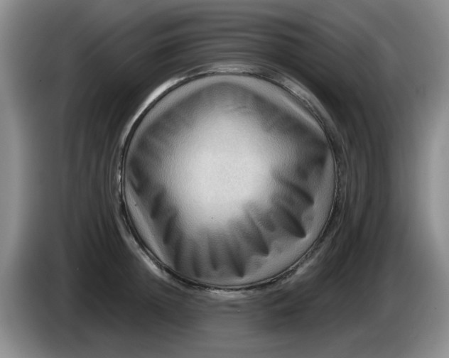 X0000083970852200703091801