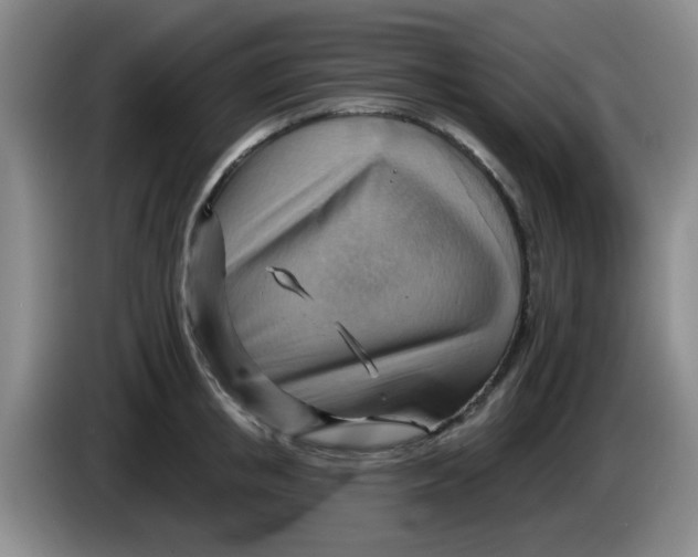 X0000083970853200703091801