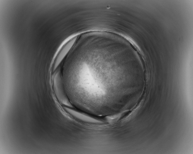 X0000083970854200703091801