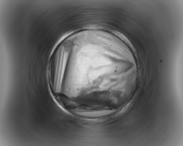 X0000083970855200703091801