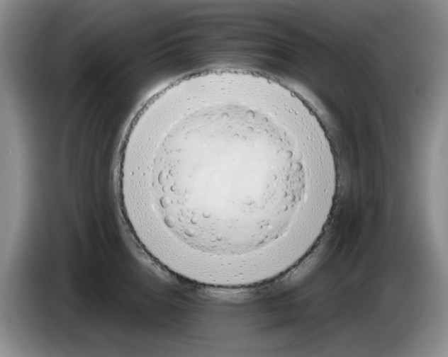 X0000083970856200703091801