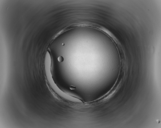 X0000083970857200703091801