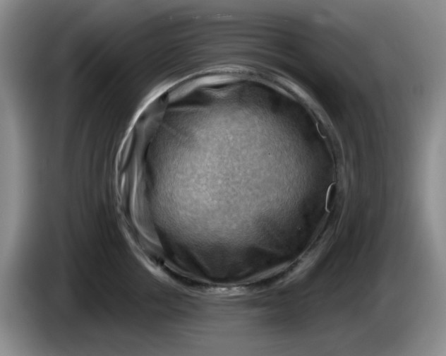 X0000083970858200703091801