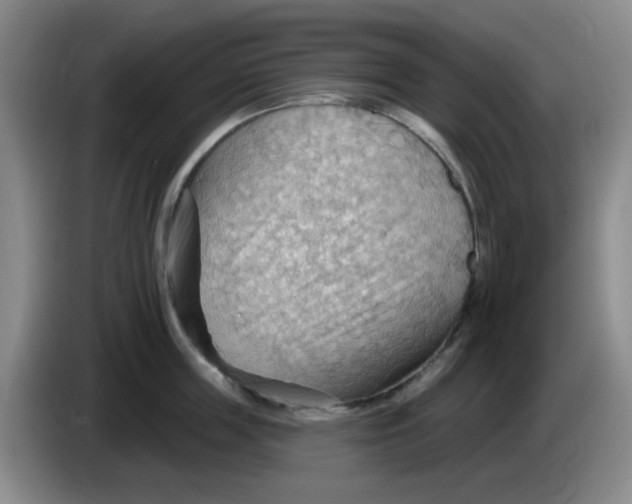 X0000083970859200703091801