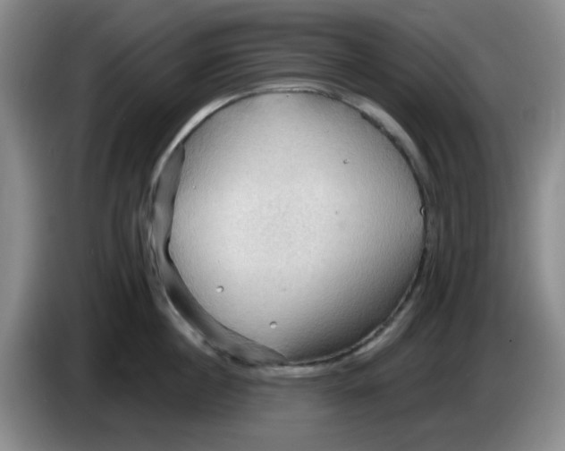 X0000083970860200703091801