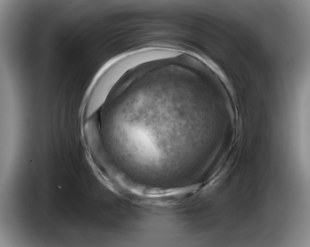 X0000083970862200703091801