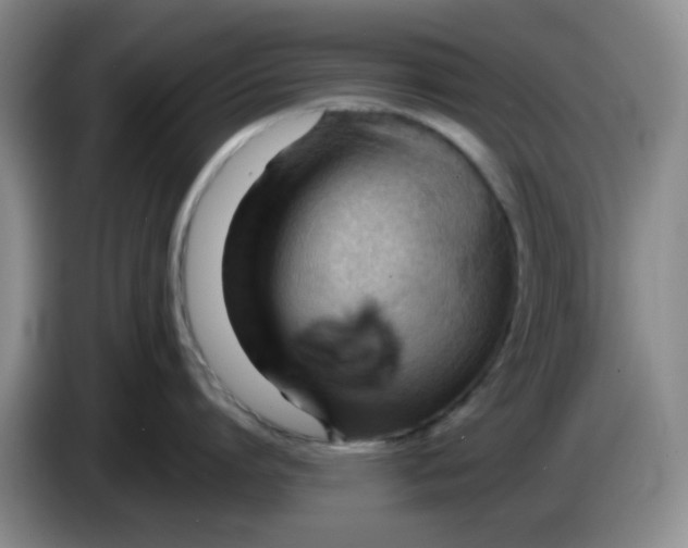 X0000083970864200703091801
