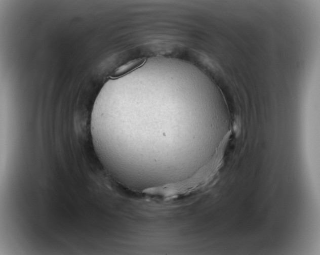 X0000083970867200703091800