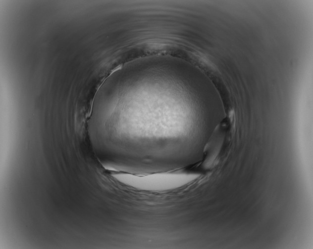 X0000083970868200703091800