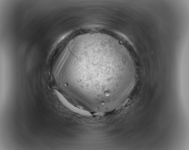 X0000083970871200703091800