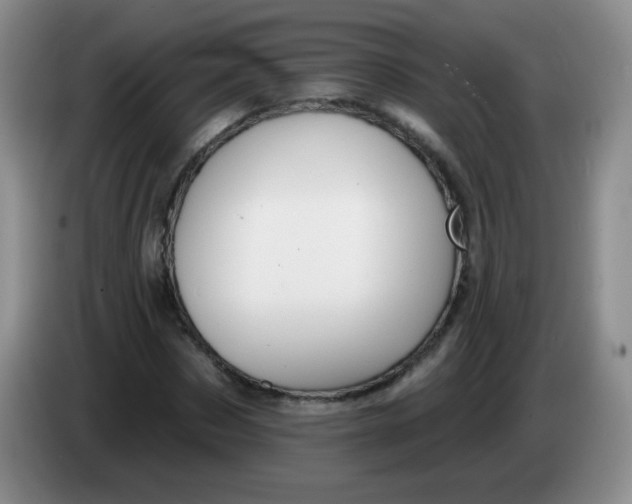 X0000083970873200703091800