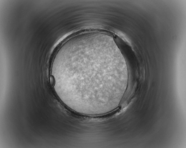 X0000083970877200703091800