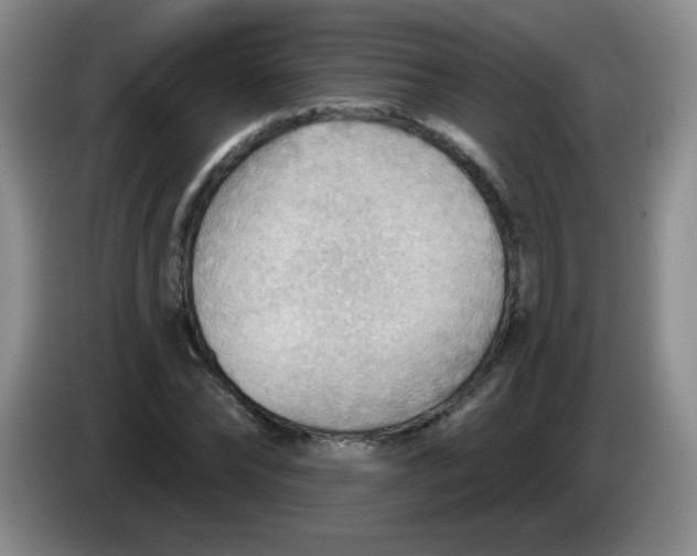 X0000083970878200703091800